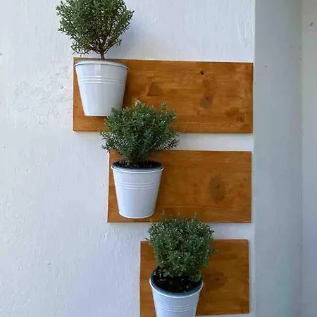 Center - Lovely And Spacious 2bdrm * Split